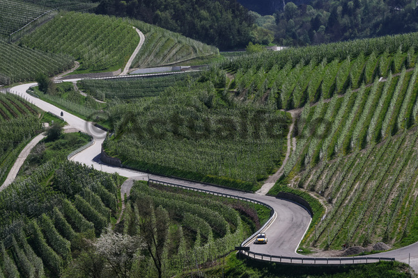 Paganella Rally 2024
Andalo TN 13 14 Aprile 2024 Paganella Rally 2024
Andalo TN 13 14 Aprile 2024