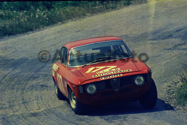 Alfa Collection 21 Pianta Giorgio