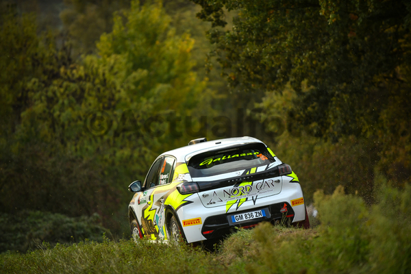 Rally delle Marche 2024
Cingoli MC 16 17 Novembre 2024
Campionato Italiano Rally Terra