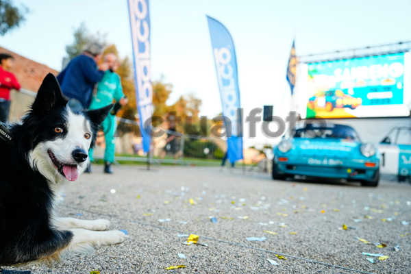 Rallye Sanremo Storico 2025
Sanremo IM 17 18 Ottobre 2025
Campionato Italiano Rally Auto Storiche