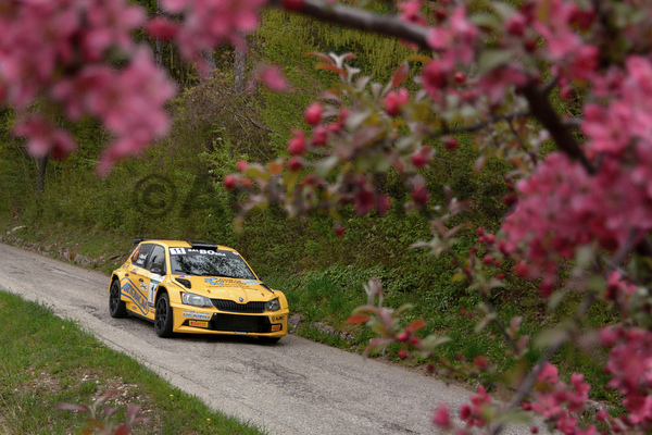 Dolomiti Brenta Rally 2022
Andalo TN 22 23 Aprile 2022