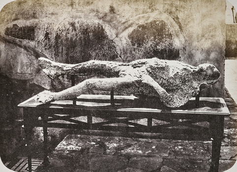 AVQ A 004117 AVQ A 004117