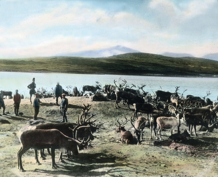 UIG F 030302