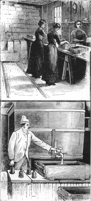 UIG F 000659 UIG F 000659