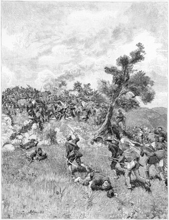 EVA S 001019 EVA S 001019