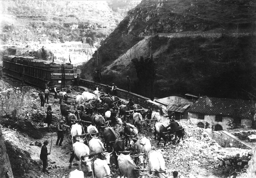 CAA F 000077 CAA F 000077