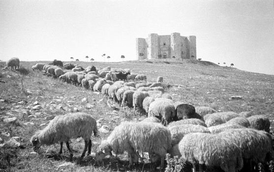 NVQ S 002281 NVQ S 002281