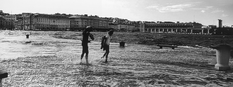 AVQ A 004985 AVQ A 004985