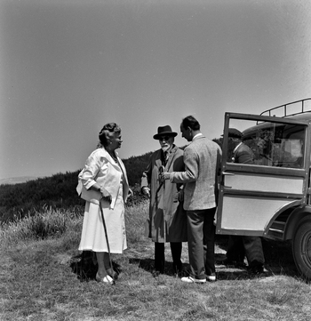 MFV S V00096