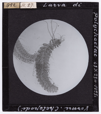 RGD S 000B27 RGD S 000B27