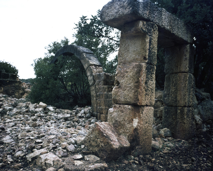BEN F 006711