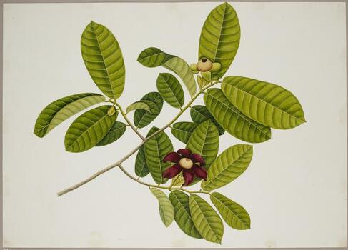 BLB F 031396
