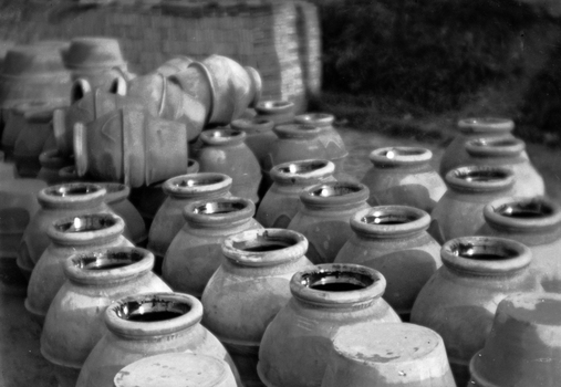 BVA S 000353 BVA S 000353