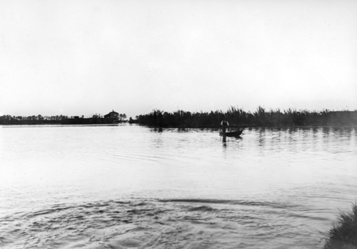 TCF F 002520