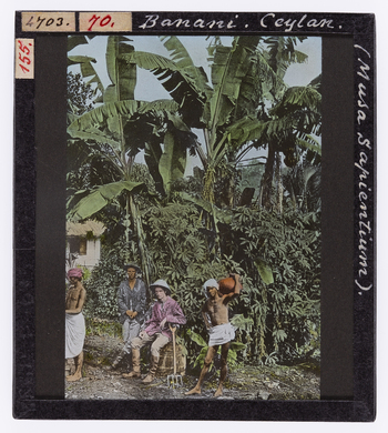 RGD S 000070 RGD S 000070