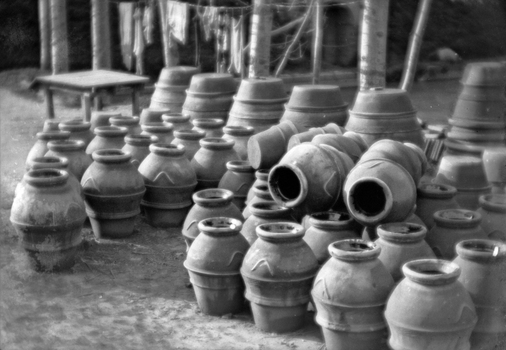 BVA S 000353 BVA S 000353