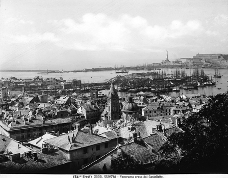 BGA F 003555