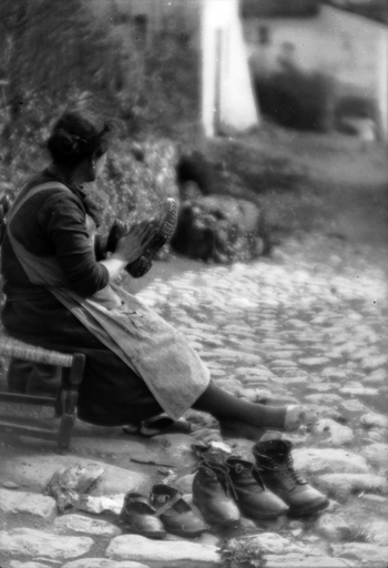 BVA S 000353 BVA S 000353