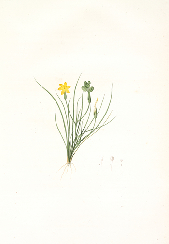 LCA F 001307
