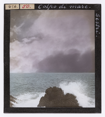 RGD S 000050 RGD S 000050