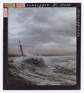 RGD S 000065 RGD S 000065