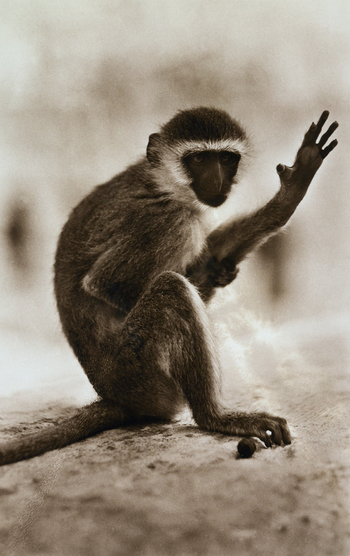 FCC A 000067 FCC A 000067