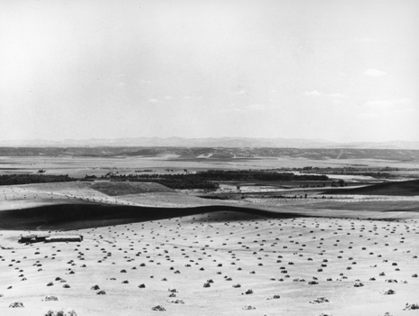 TCS F 005331