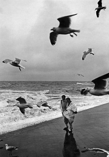 ULL S 000107 ULL S 000107