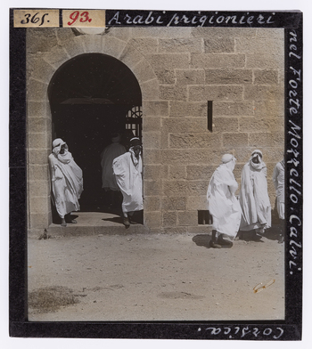 RGD S 000093 RGD S 000093