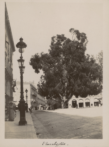 FCC A 000012 FCC A 000012