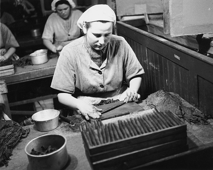 AIL S 000566 AIL S 000566