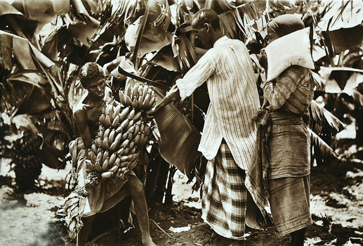 FCC A 000067 FCC A 000067