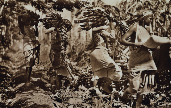 FCC A 000067 FCC A 000067