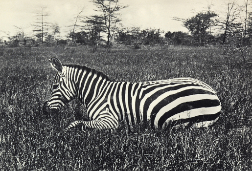 FCC A 000067 FCC A 000067