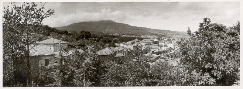 MFC S 003077 MFC S 003077