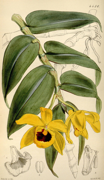 LCA F 004759