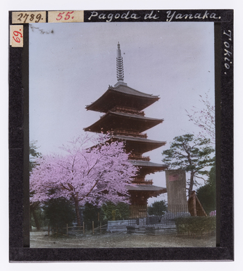 RGD S 000055 RGD S 000055