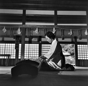 MFV S PAL023 MFV S PAL023