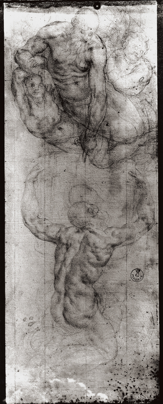 MAA F 006749