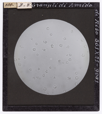 RGD S 0000B8 RGD S 0000B8