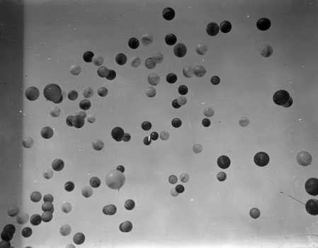 LLA S 000079