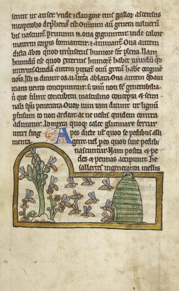 BLB S 2CXIXF BLB S 2CXIXF