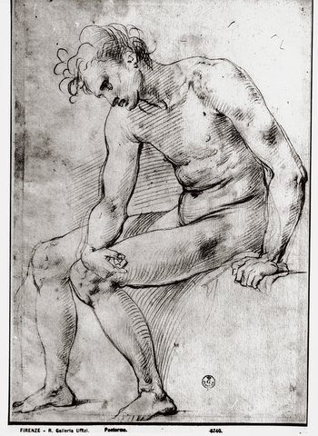 MAA F 006740