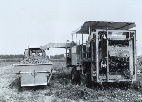 TEA S 000880 TEA S 000880