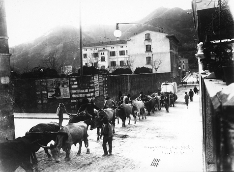 CAA F 000062 CAA F 000062