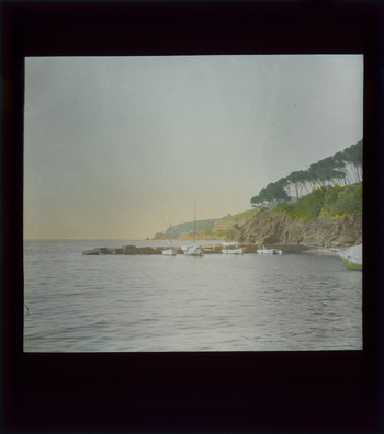 RGD S 000051 RGD S 000051