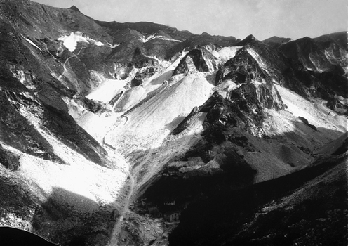 CAA F 000115 CAA F 000115