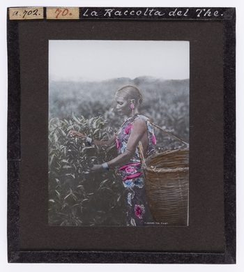 RGD S 000070 RGD S 000070