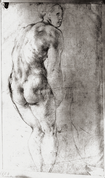 MAA F 006604
