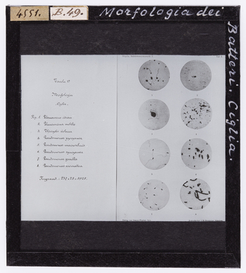 RGD S 000B49 RGD S 000B49